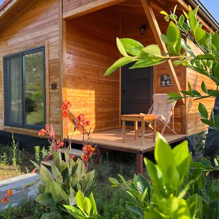 Lemon Garden Lodge Çıralı Dış mekan fotoğraf