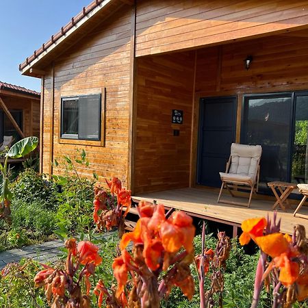 Lemon Garden Lodge Çıralı Dış mekan fotoğraf