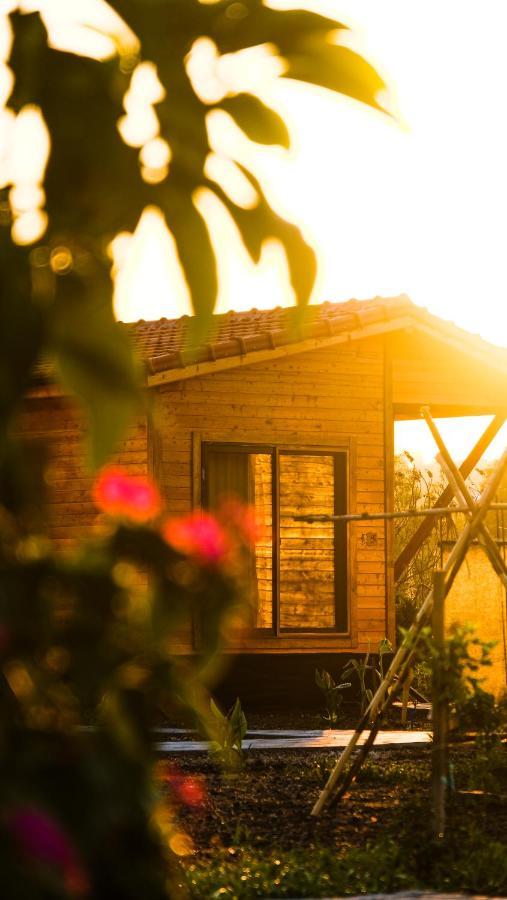 Lemon Garden Lodge Çıralı Dış mekan fotoğraf