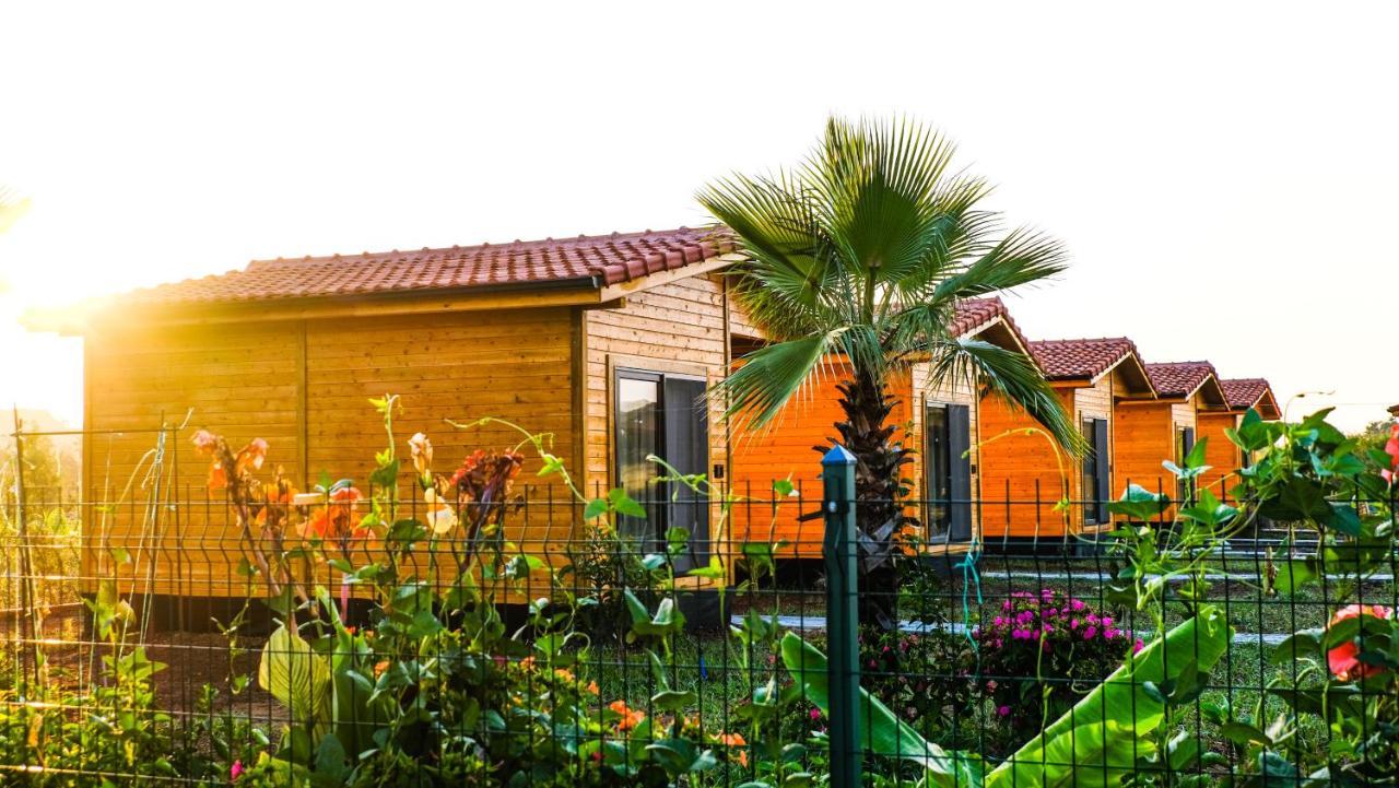 Lemon Garden Lodge Çıralı Dış mekan fotoğraf