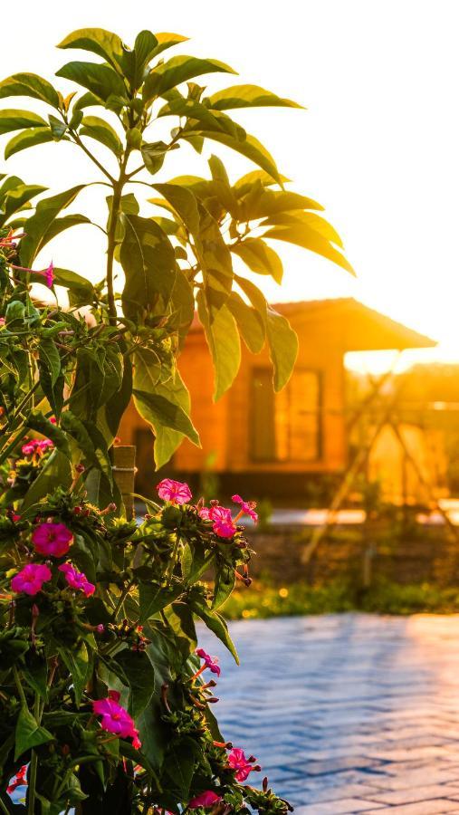 Lemon Garden Lodge Çıralı Dış mekan fotoğraf