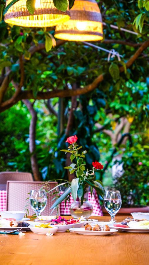 Lemon Garden Lodge Çıralı Dış mekan fotoğraf
