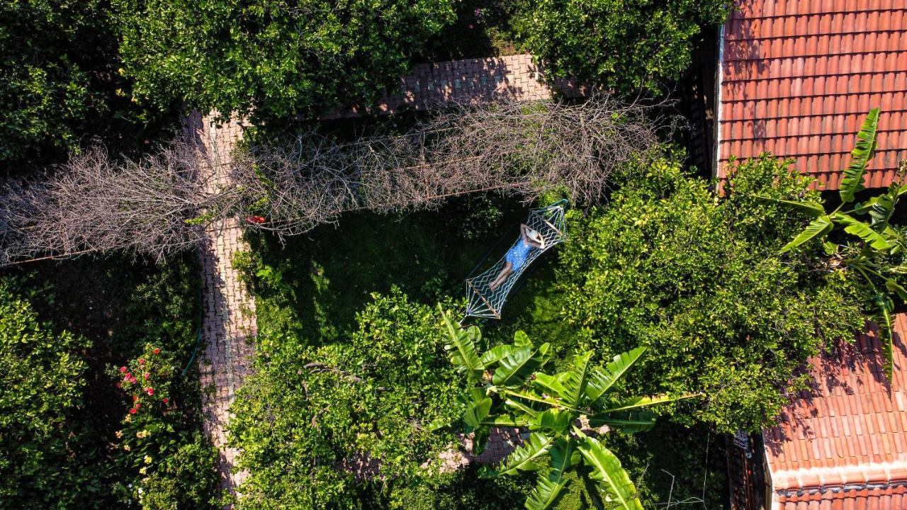 Lemon Garden Lodge Çıralı Dış mekan fotoğraf