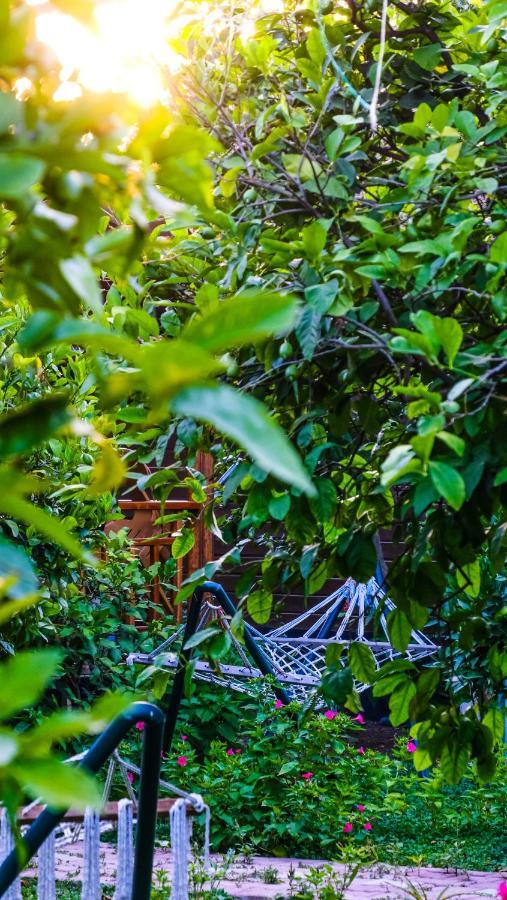 Lemon Garden Lodge Çıralı Dış mekan fotoğraf