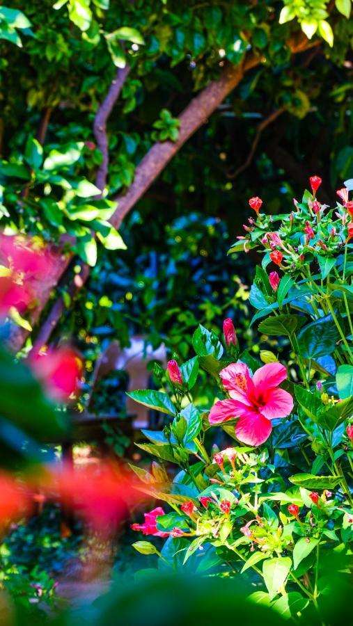 Lemon Garden Lodge Çıralı Dış mekan fotoğraf