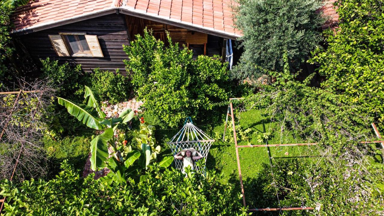 Lemon Garden Lodge Çıralı Dış mekan fotoğraf