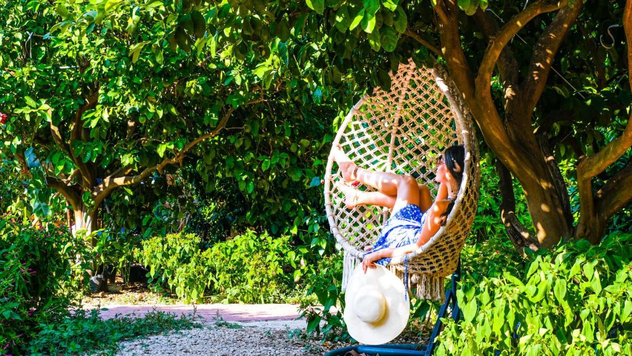 Lemon Garden Lodge Çıralı Dış mekan fotoğraf
