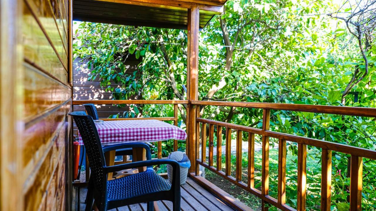Lemon Garden Lodge Çıralı Dış mekan fotoğraf
