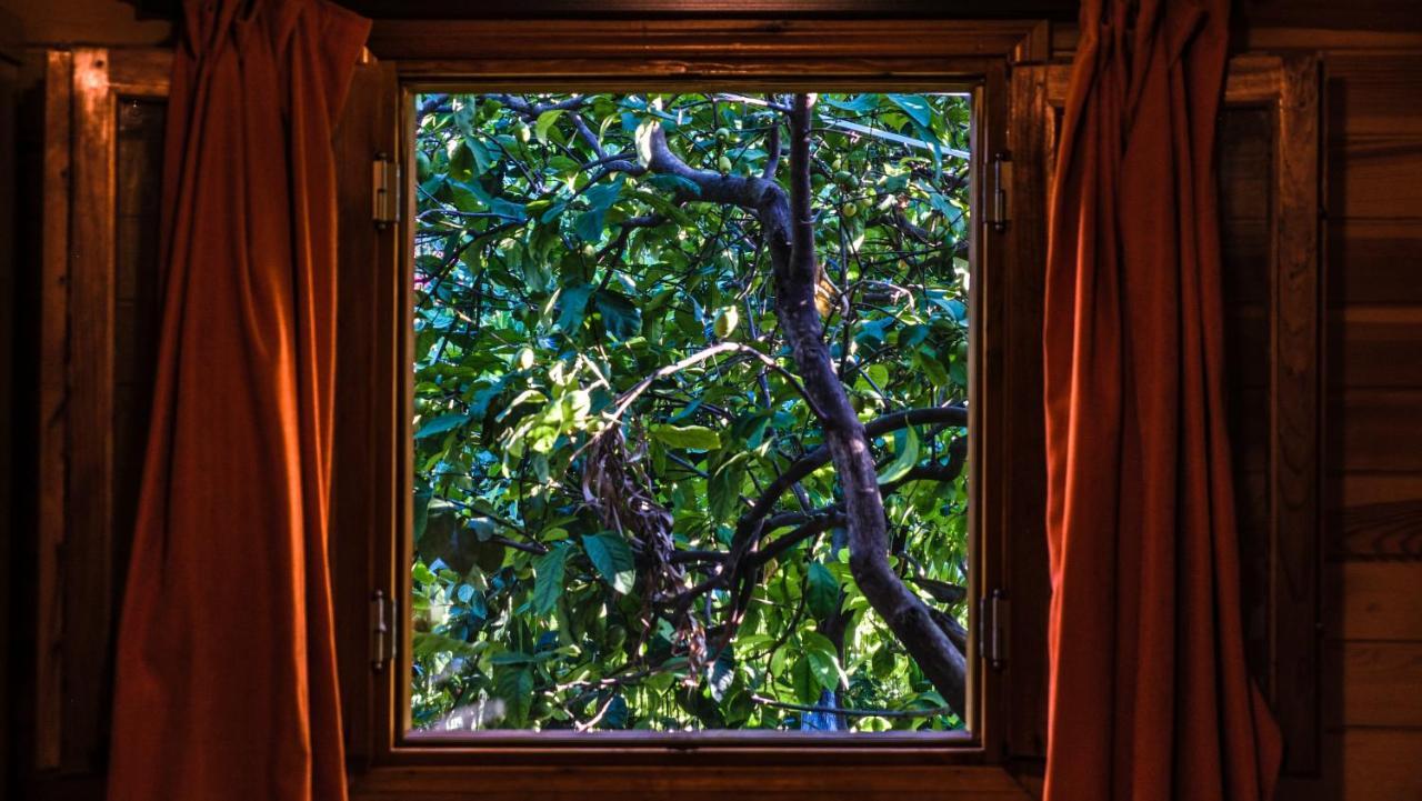 Lemon Garden Lodge Çıralı Dış mekan fotoğraf