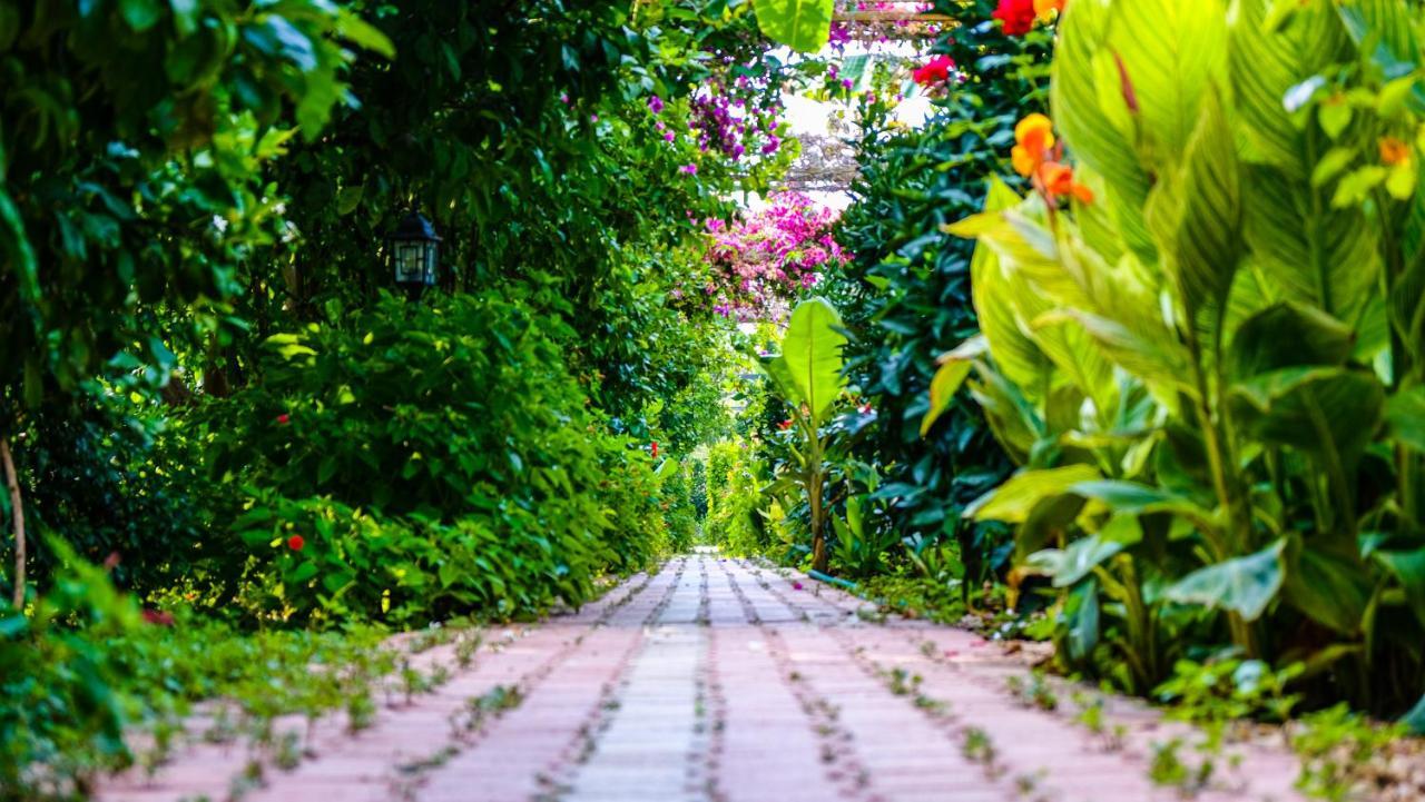 Lemon Garden Lodge Çıralı Dış mekan fotoğraf