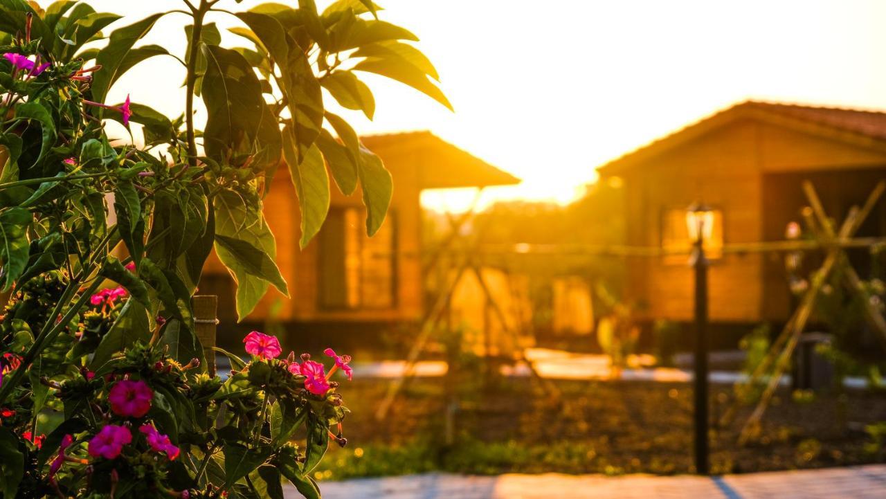 Lemon Garden Lodge Çıralı Dış mekan fotoğraf