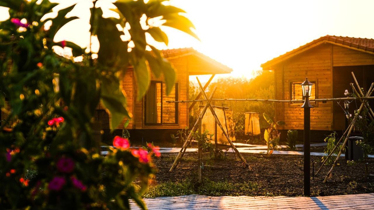 Lemon Garden Lodge Çıralı Dış mekan fotoğraf