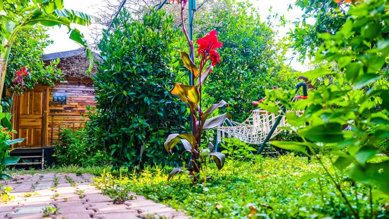 Lemon Garden Lodge Çıralı Dış mekan fotoğraf