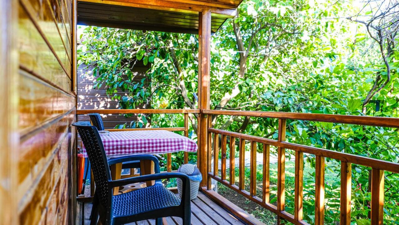 Lemon Garden Lodge Çıralı Dış mekan fotoğraf
