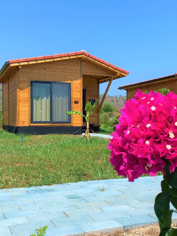 Lemon Garden Lodge Çıralı Dış mekan fotoğraf