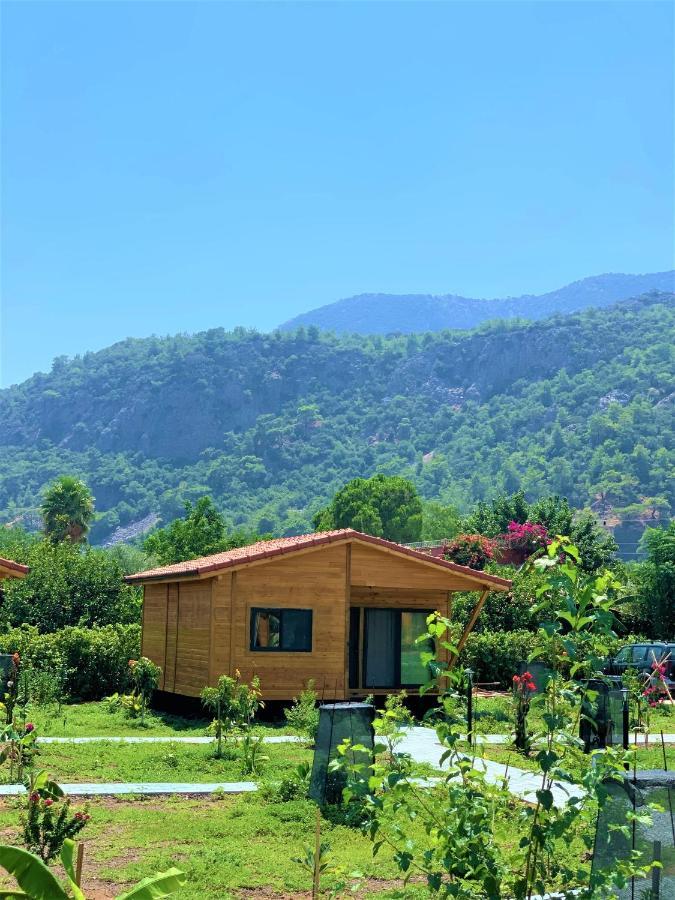Lemon Garden Lodge Çıralı Dış mekan fotoğraf