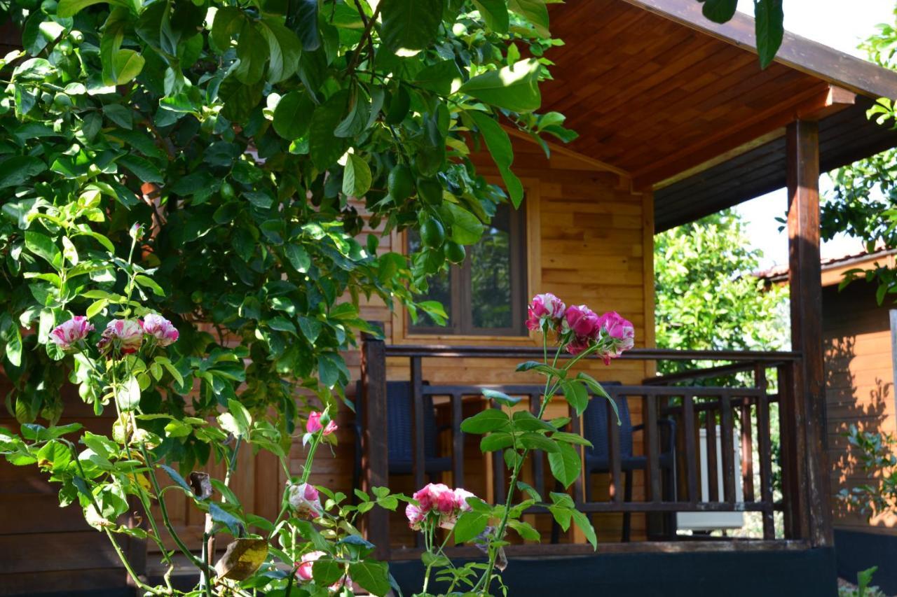 Lemon Garden Lodge Çıralı Dış mekan fotoğraf