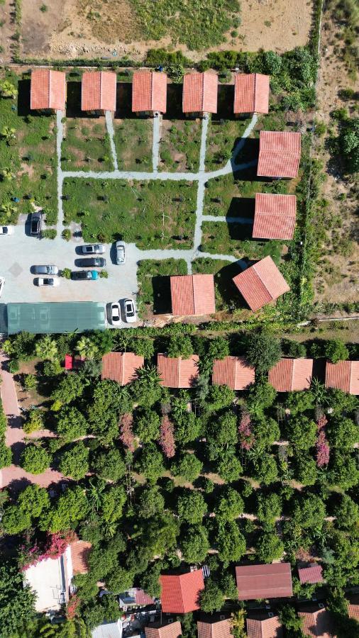 Lemon Garden Lodge Çıralı Dış mekan fotoğraf