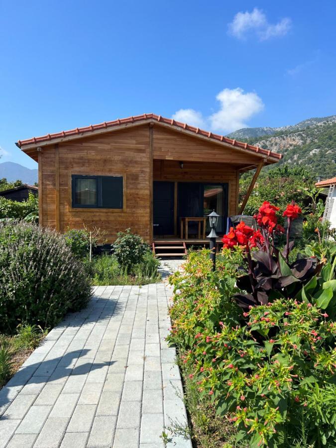 Lemon Garden Lodge Çıralı Dış mekan fotoğraf