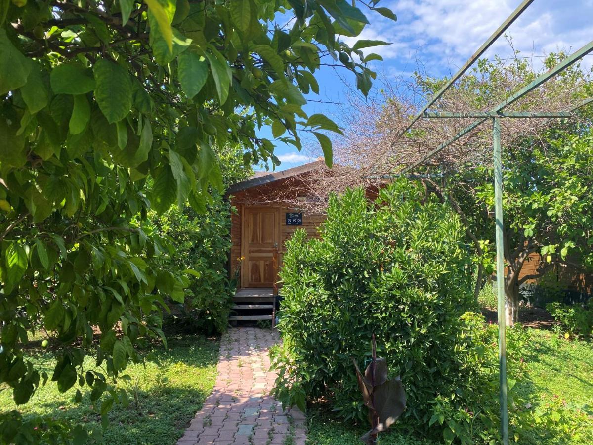 Lemon Garden Lodge Çıralı Dış mekan fotoğraf