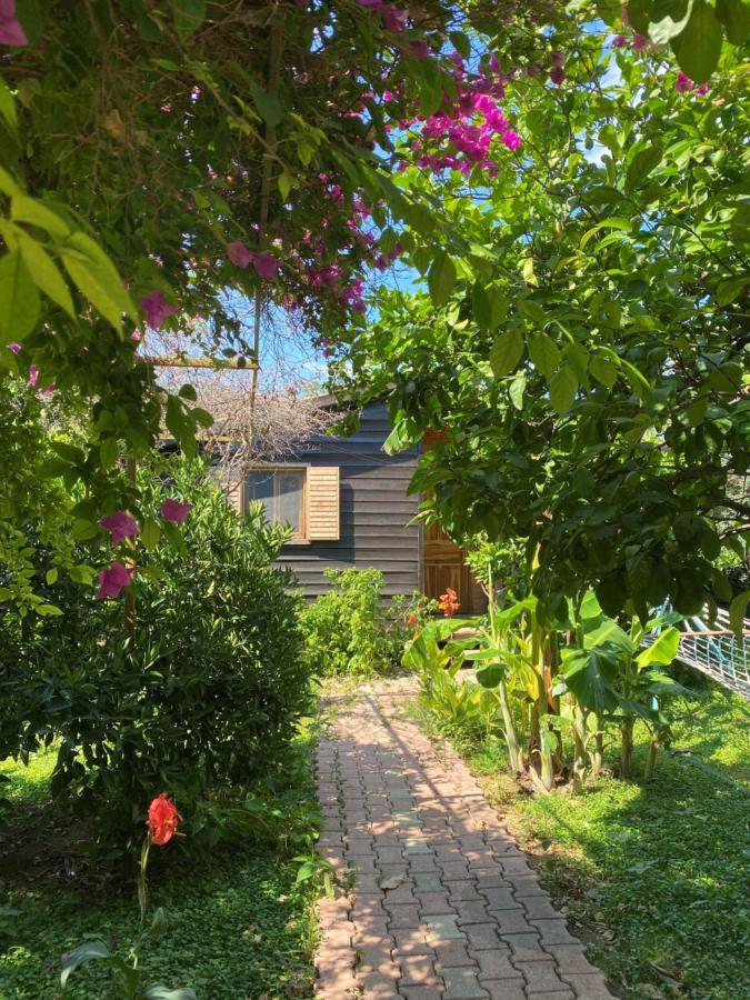 Lemon Garden Lodge Çıralı Dış mekan fotoğraf