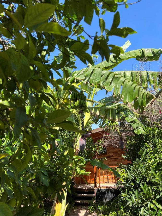Lemon Garden Lodge Çıralı Dış mekan fotoğraf