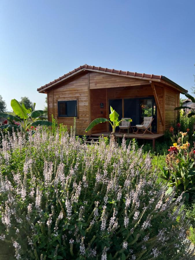 Lemon Garden Lodge Çıralı Dış mekan fotoğraf