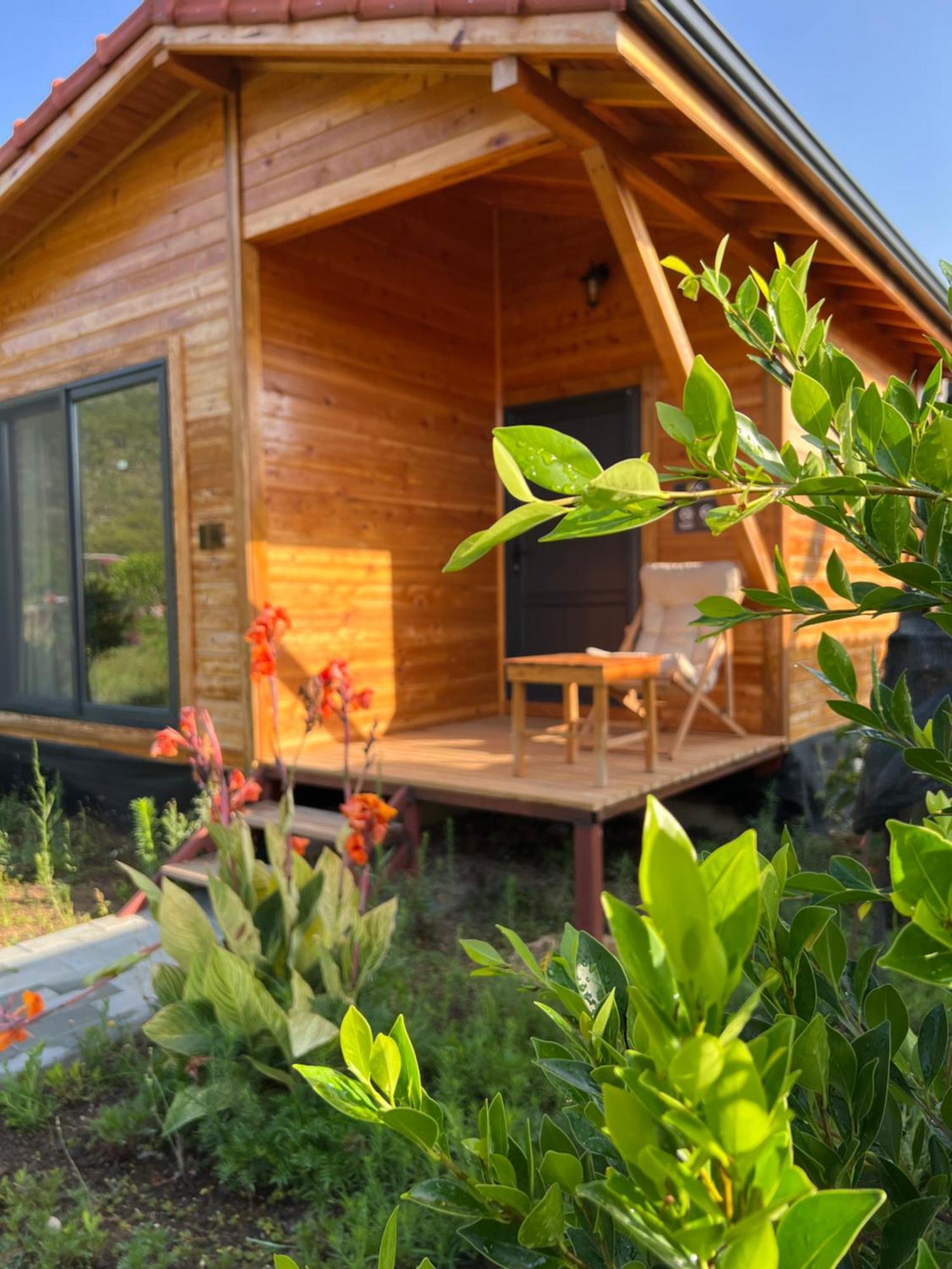 Lemon Garden Lodge Çıralı Dış mekan fotoğraf