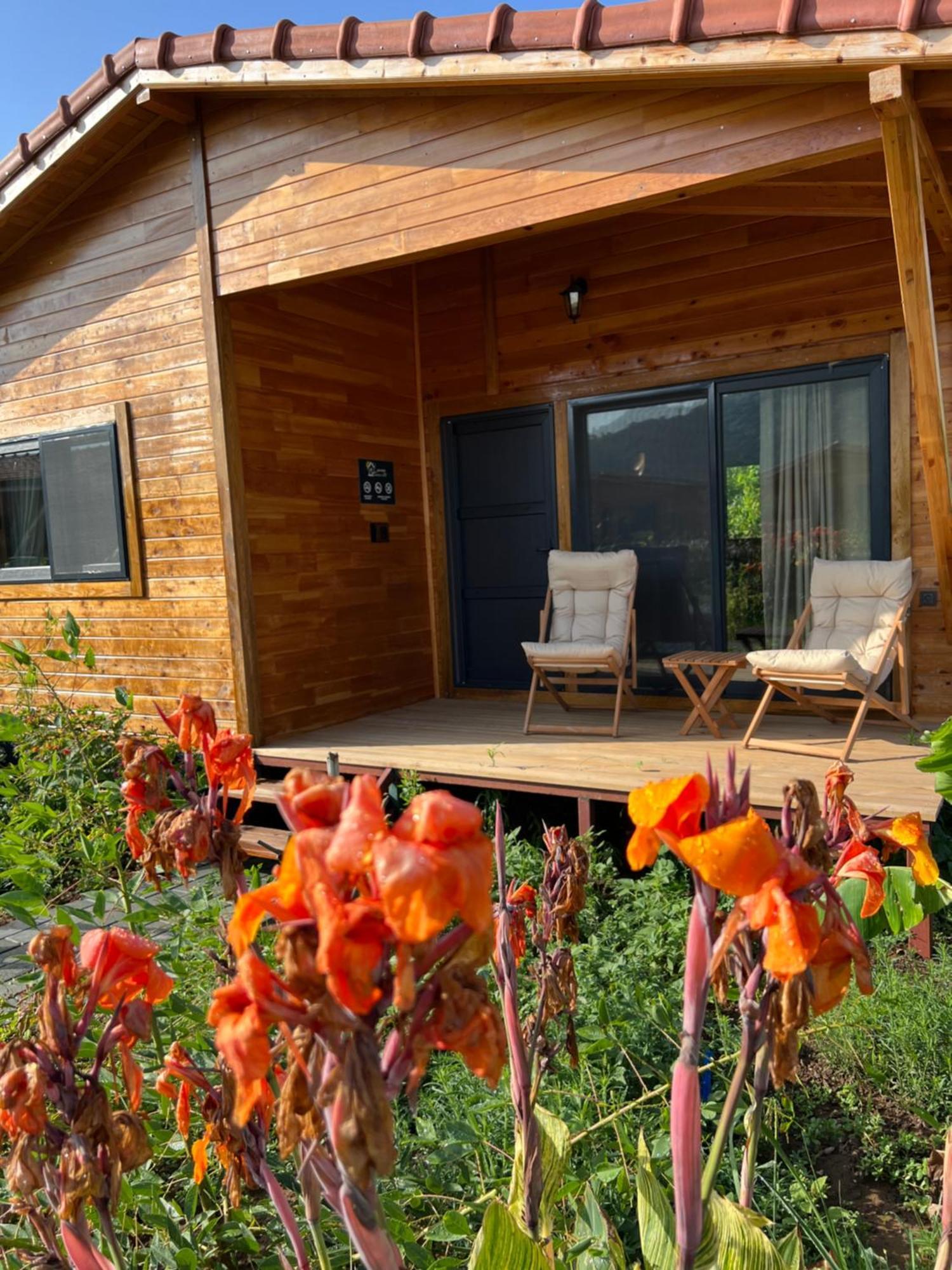 Lemon Garden Lodge Çıralı Dış mekan fotoğraf