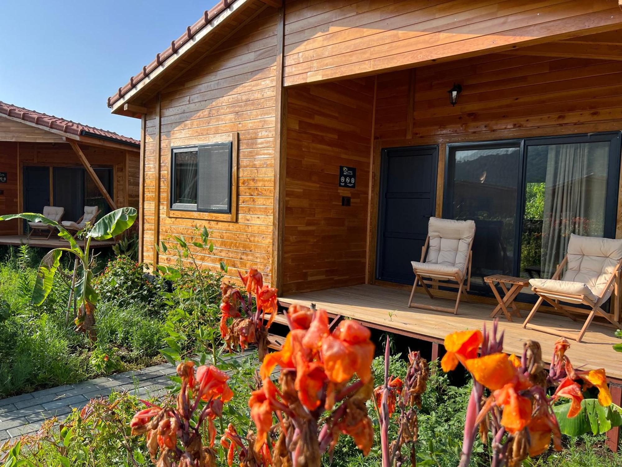 Lemon Garden Lodge Çıralı Dış mekan fotoğraf