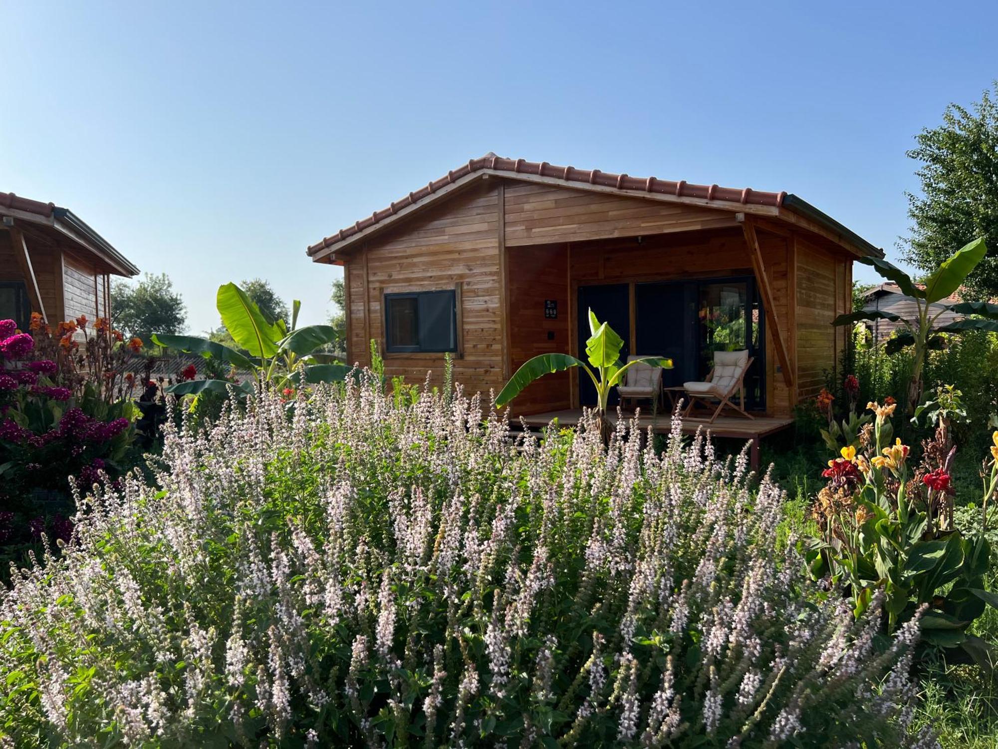 Lemon Garden Lodge Çıralı Dış mekan fotoğraf