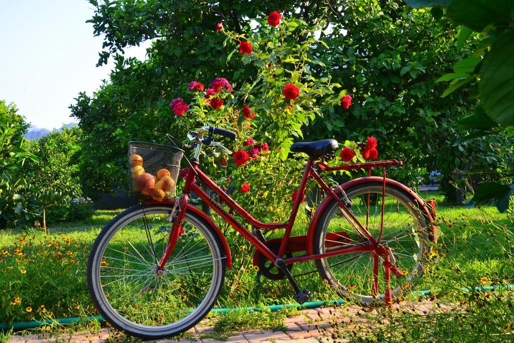 Lemon Garden Lodge Çıralı Dış mekan fotoğraf
