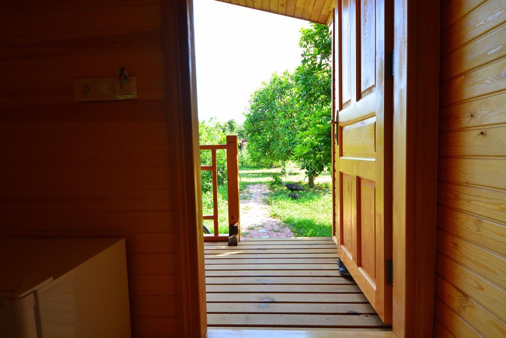 Lemon Garden Lodge Çıralı Dış mekan fotoğraf