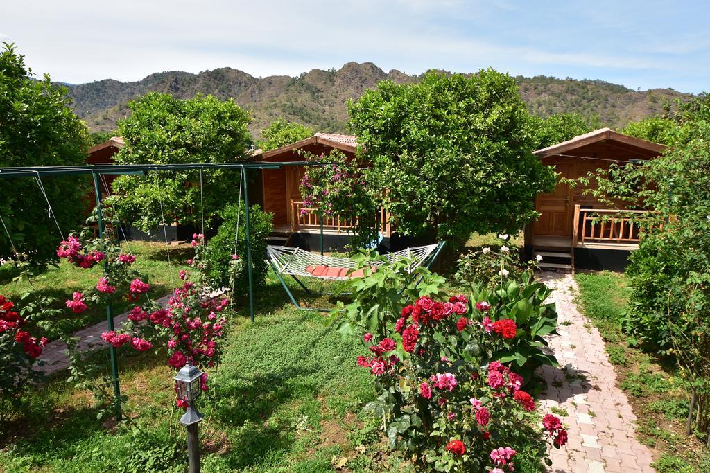 Lemon Garden Lodge Çıralı Dış mekan fotoğraf