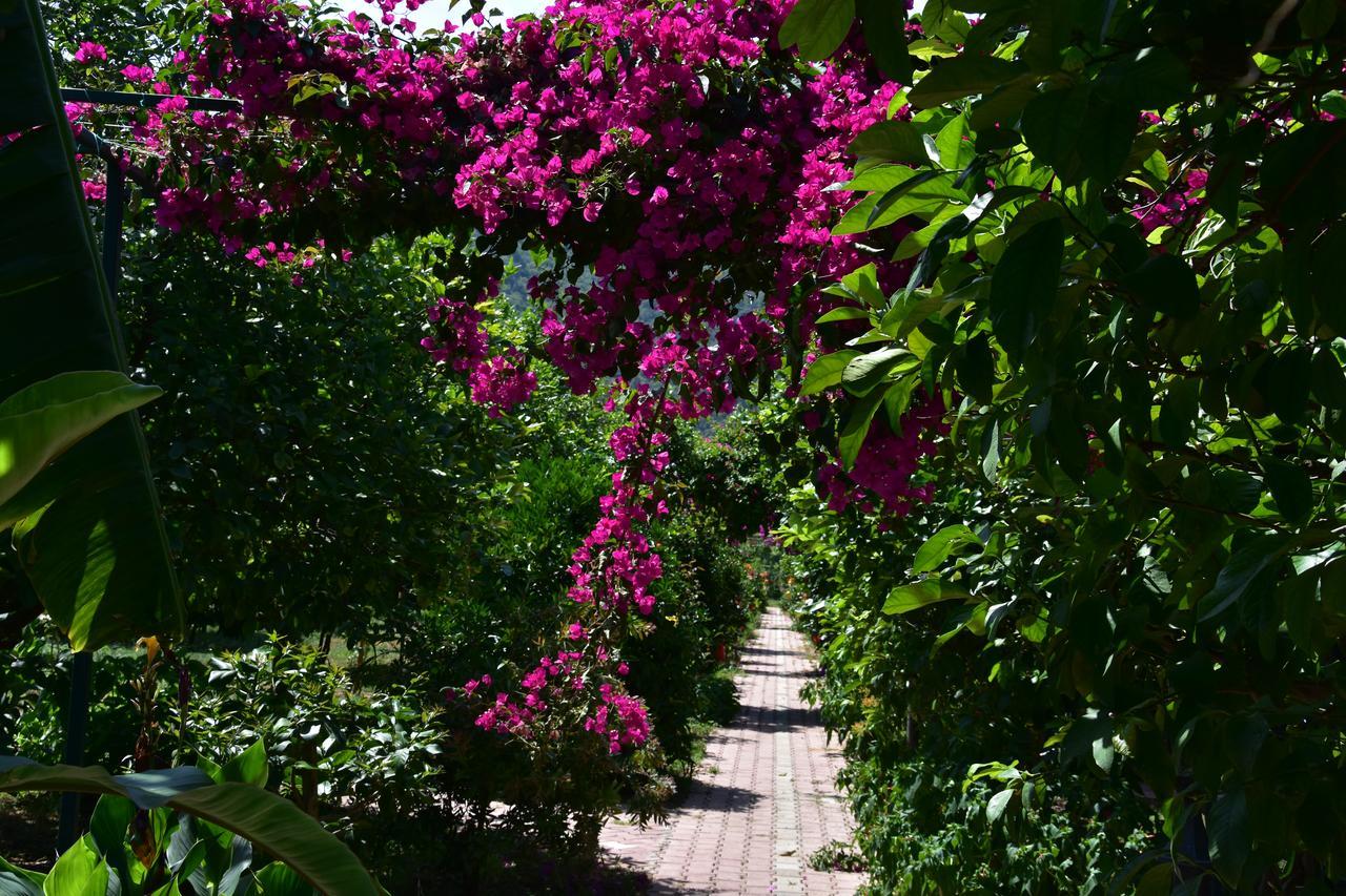 Lemon Garden Lodge Çıralı Dış mekan fotoğraf