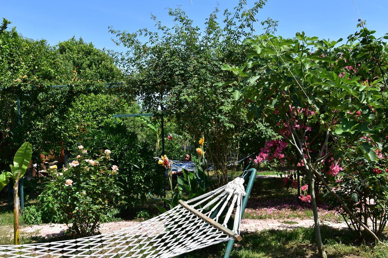 Lemon Garden Lodge Çıralı Dış mekan fotoğraf